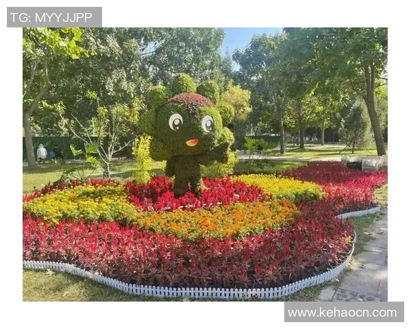 芜职足球星耀杯赛事圆满落幕 赛场激情四溢吸引众多观众关注